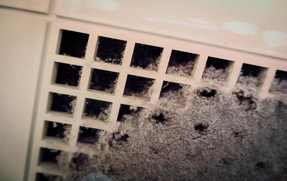 Dryer Vent Cleaning Service